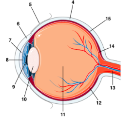 What is #10 and its function?