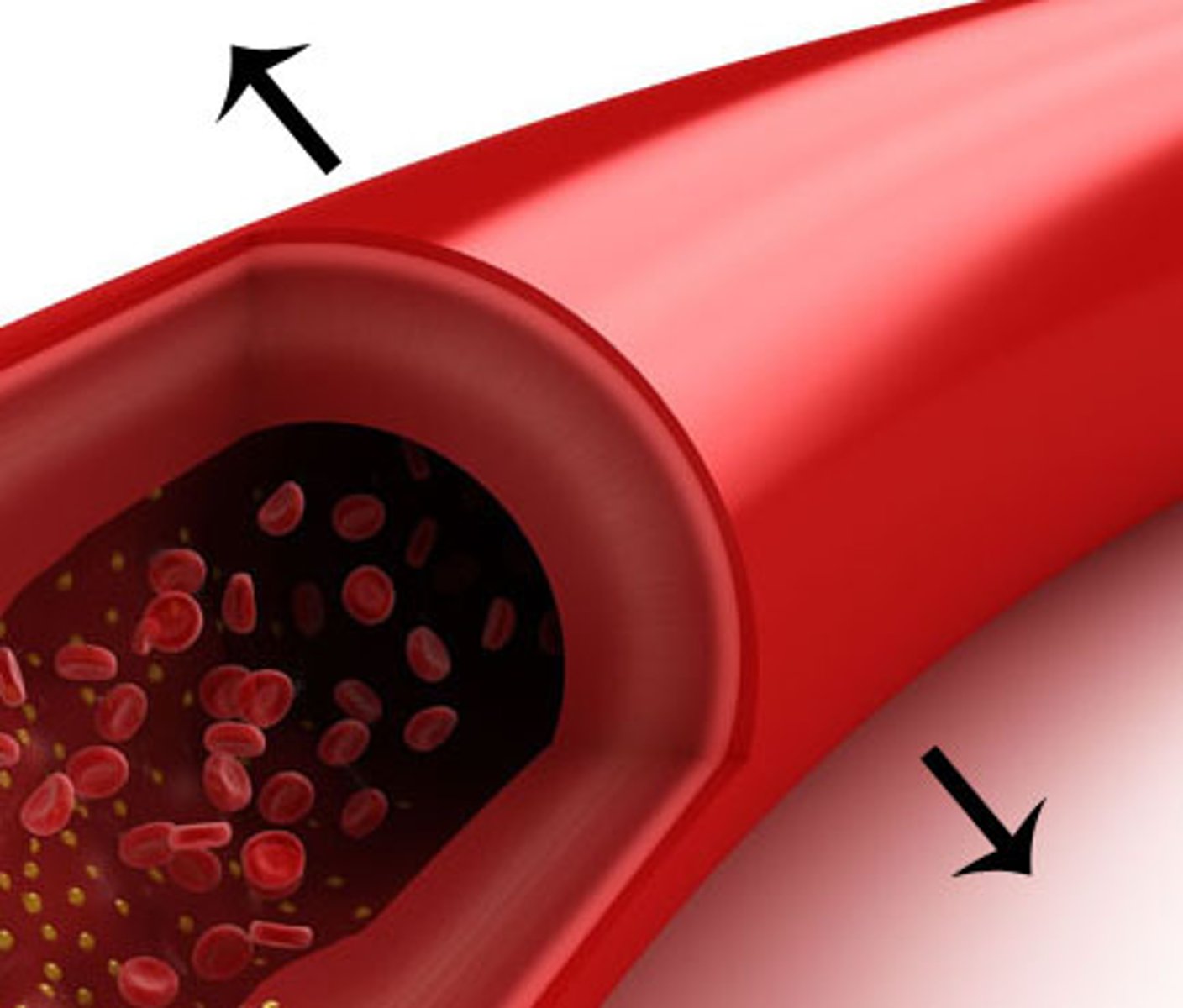 <p>The widening of blood vessels which increases the amount of blood near the skin's surface, allowing more heat to be transferred to the surroundings</p>