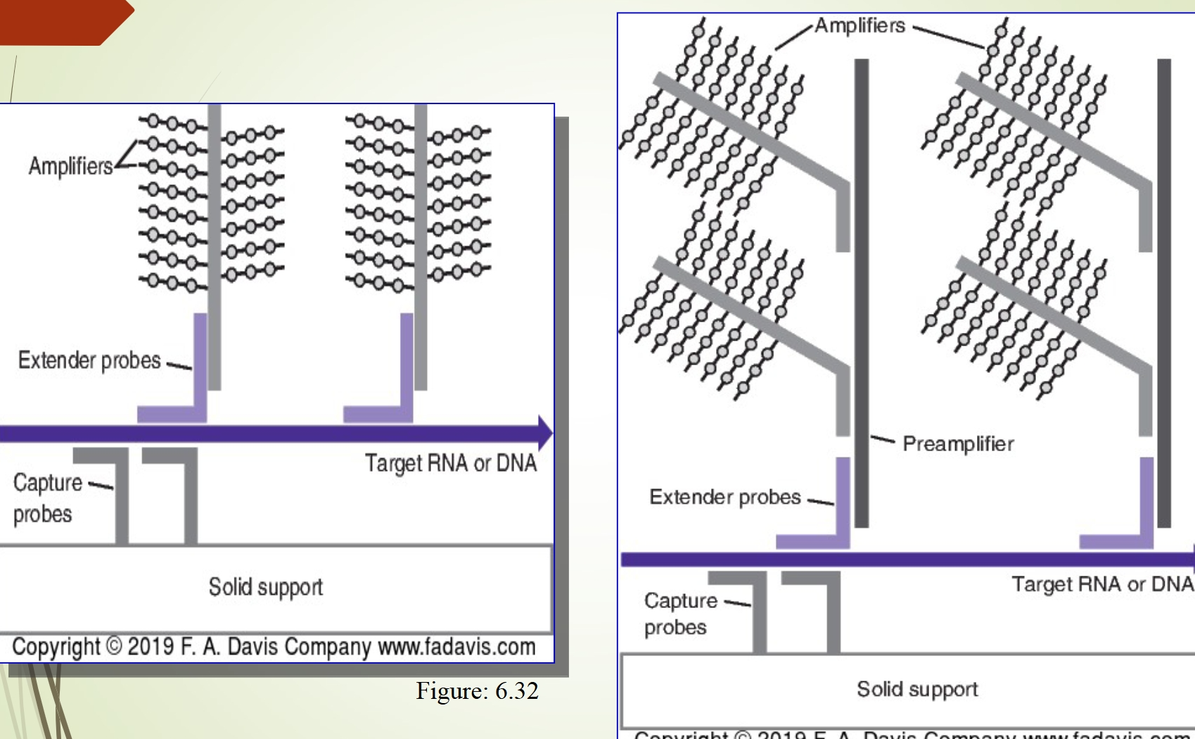 <ul><li><p>More complex</p></li><li><p>Solid support</p></li><li><p>Capture group</p></li><li><p>Probes</p></li></ul><p></p>