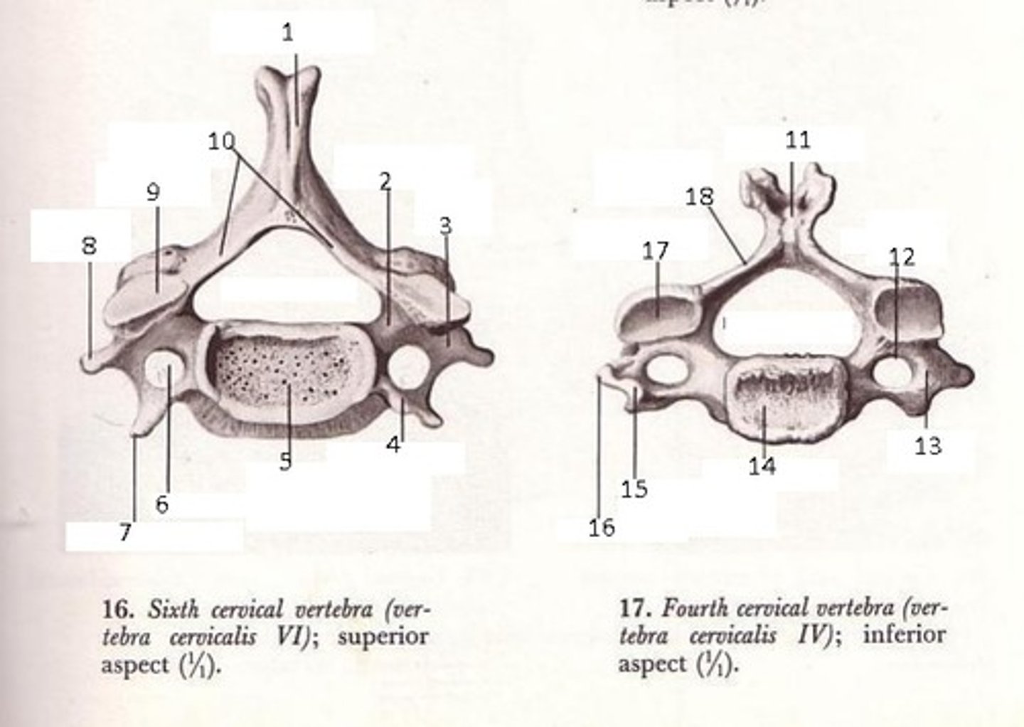 <p>wat is dit? (10 en 2)</p>