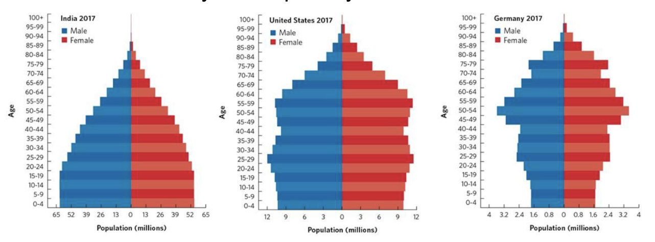 <p><span style="background-color: transparent;"><span>In a population, the proportion of individuals that occurs in different age classes</span></span></p><ul><li><p><span style="background-color: transparent;"><span>Gives an instant picture of what a current population looks like and what the future population will look like based off shape of tables</span></span></p><ul><li><p><span style="background-color: transparent;"><span>Wide base = growth</span></span></p></li><li><p><span style="background-color: transparent;"><span>Same width throughout = stable</span></span></p></li><li><p><span style="background-color: transparent;"><span>Skinny base/top heavy = decline</span></span></p></li></ul></li></ul><p></p>