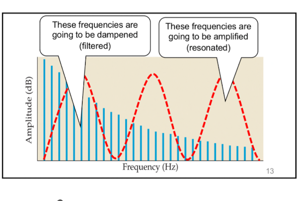 <p>the way you hold your tongue or mouth can filter frequencies / change what frequencies get through</p>