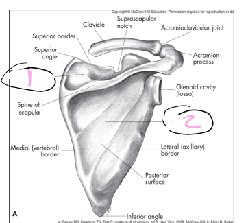 <p>1</p>