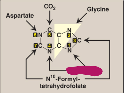 <p>What compound contributes these atoms to a purine ring?</p>