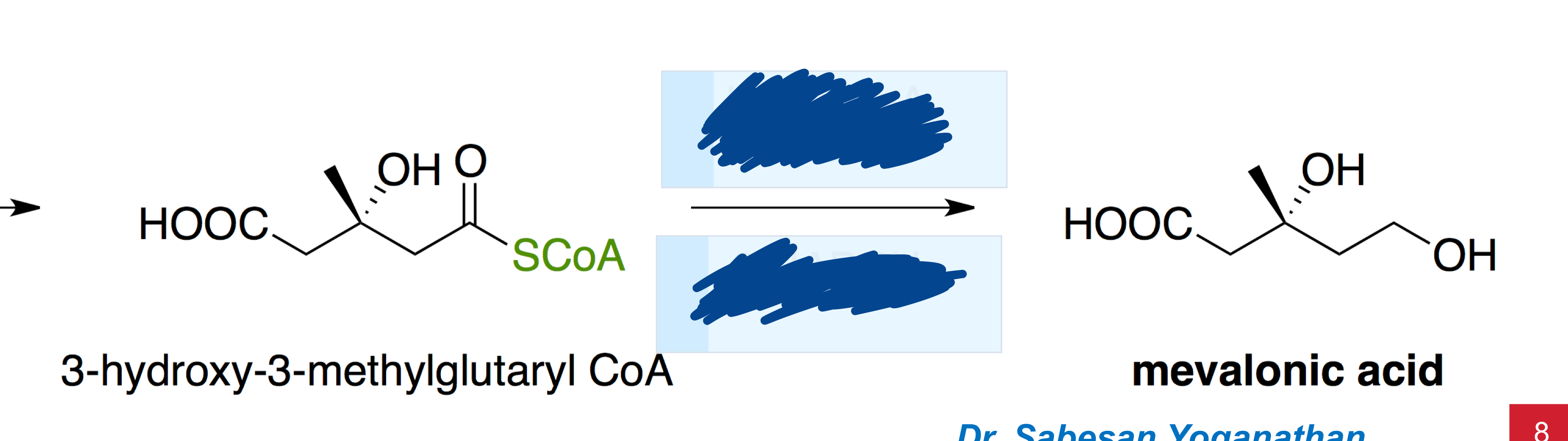 what is the enzyme in the mevalonate pathway and the cofactor