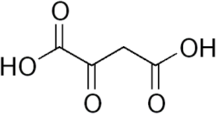 <p>alpha keto acid of ASP</p>