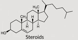 <p>Large complex molecules built from multiple cyclic hydrocarbon chains</p><p>functions as signaling molecules</p>