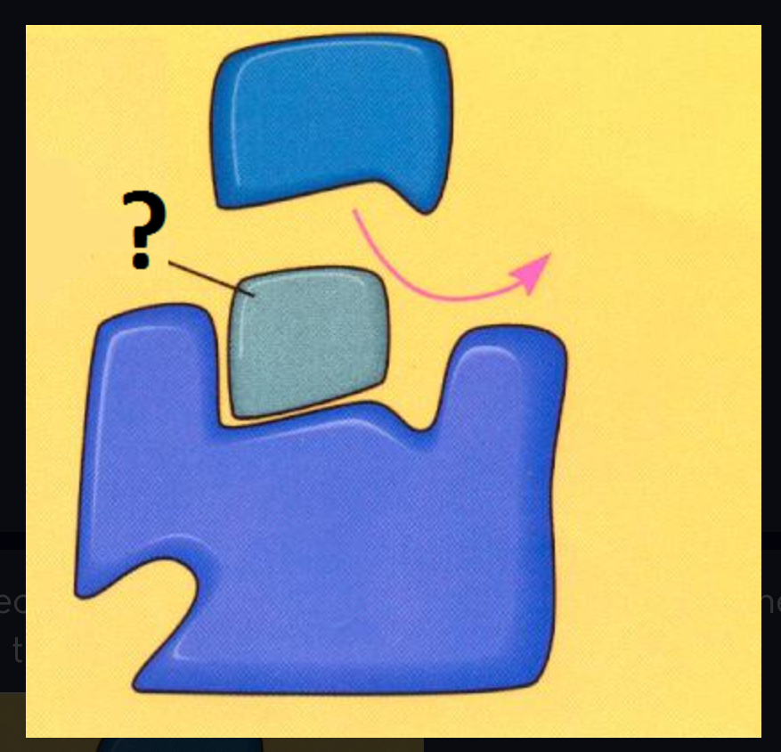 <p>Reduce the productivity of enzymes by blocking substrates from entering active sites.</p>