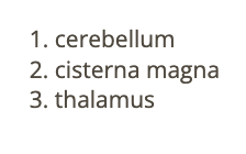 <p>b) cerebellum</p>