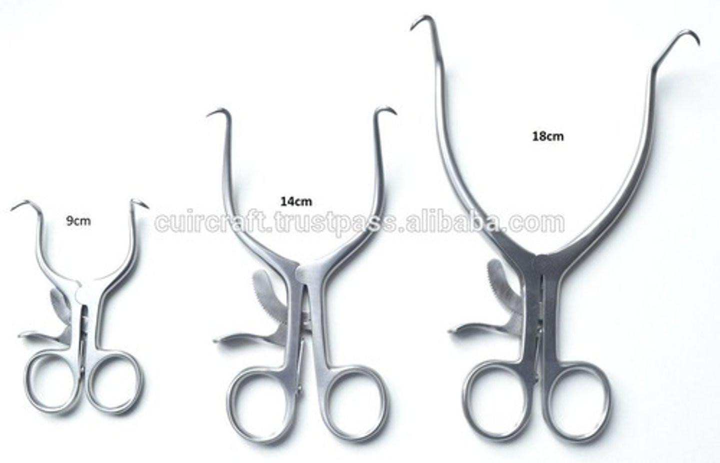 <p>used to keep the mouth open during dental visits (small animal)</p>