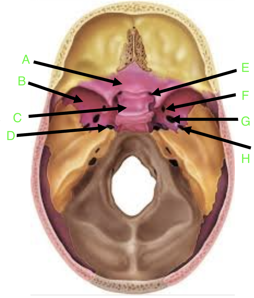 <p>D</p>