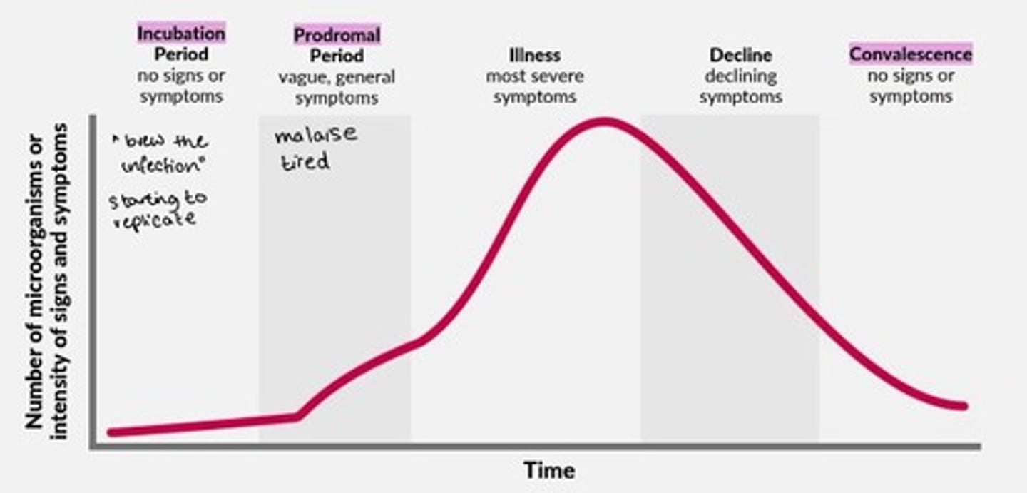 <p>1) Incubation period = no signs/symptoms</p><p>2) Prodromal period = vague, general symptoms</p><p>3) Illness = most severe symptoms</p><p>4) Decline = declining symptoms</p><p>5) Convalescence = no signs or symptoms</p>