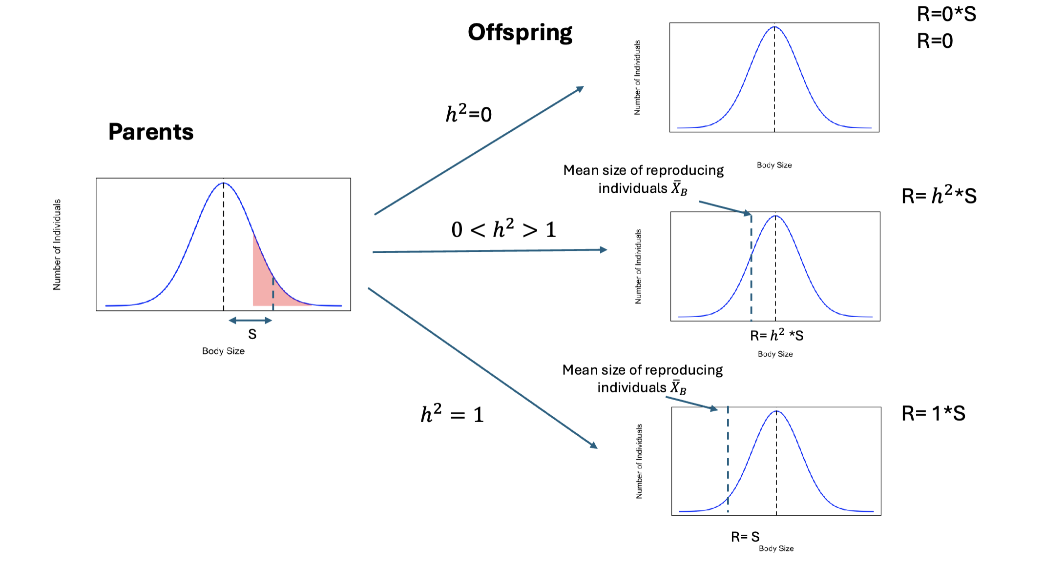 <p>Breeders Equation</p>