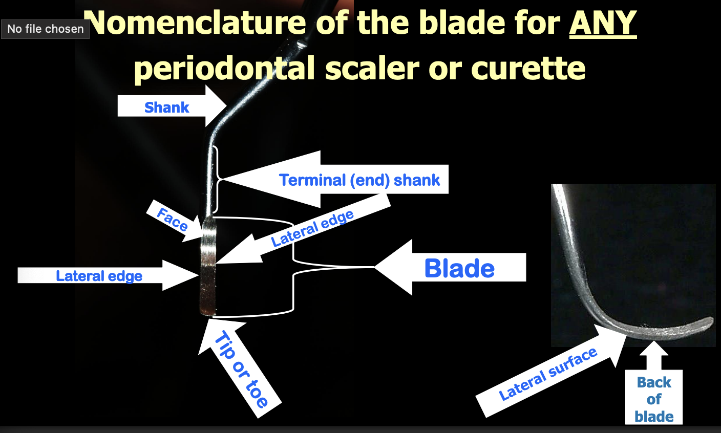 knowt flashcard image