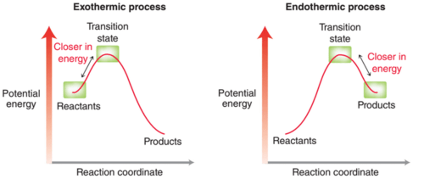 <p>the transition state is more similar in structure to the species to which it is more similar in energy</p><p>exo= more similar to reactants</p><p>endo= more similar to products</p>