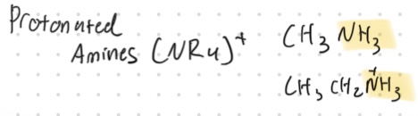 <p>Protonated Amines (NR<sub>4</sub>)</p>