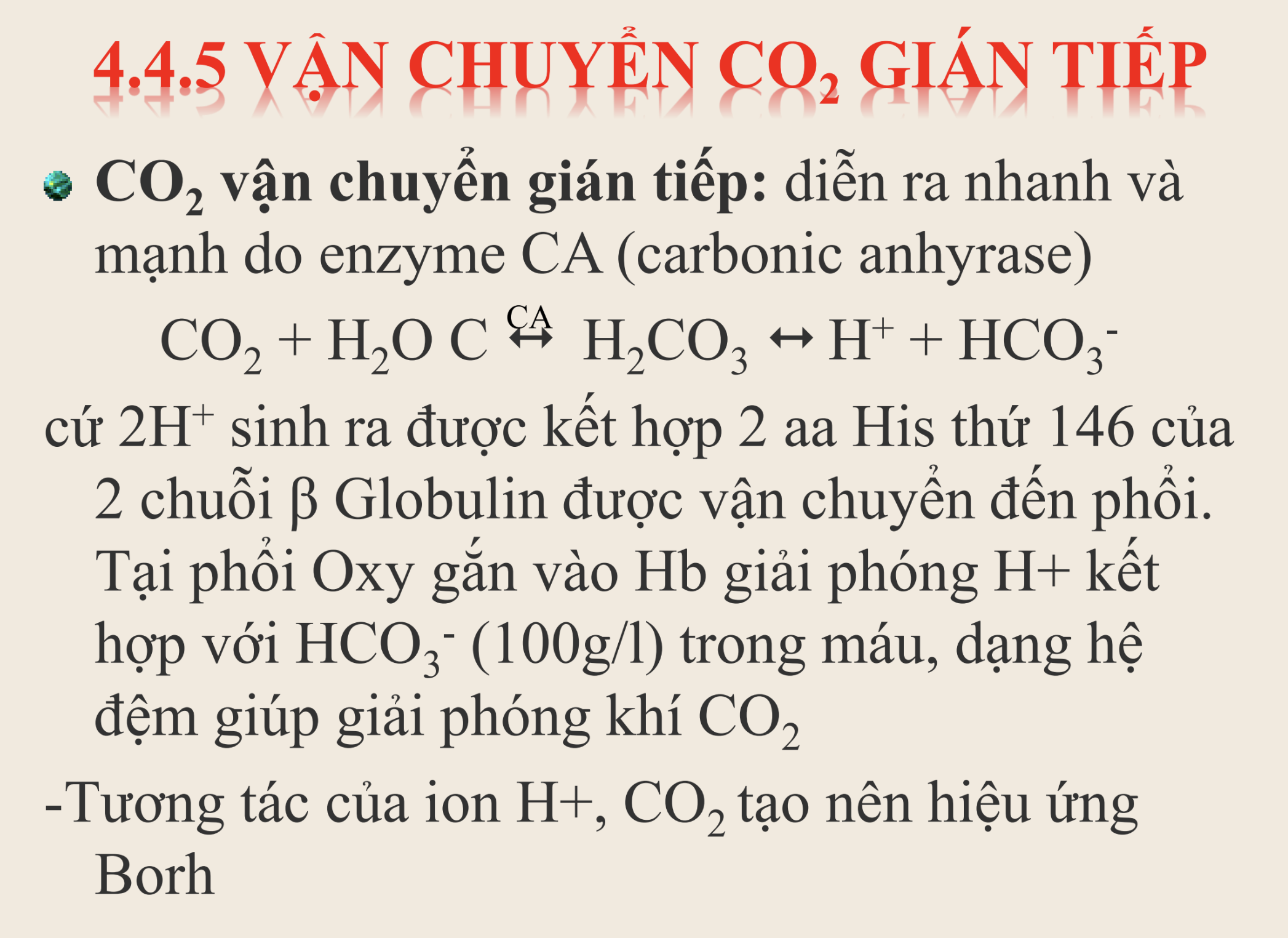 <p><strong>Trong quá trình vận chuyển CO₂ gián tiếp, yếu tố nào sau đây đóng vai trò xúc tác giúp phản ứng xảy ra nhanh và mạnh trong hồng cầu?</strong></p><p>A. ATP synthase</p><p>B. Histidine</p><p>C. Enzyme CA </p><p>D. Catalase</p>
