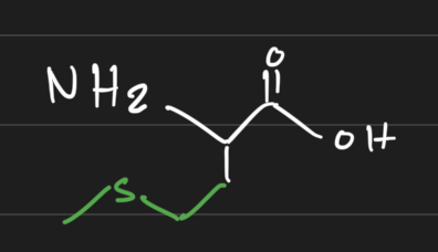 <p>Nonpolar, non-aromatic</p><p>despite containing a sulfur, considered nonpolar due to methyl group</p><p>Met</p><p>M</p>