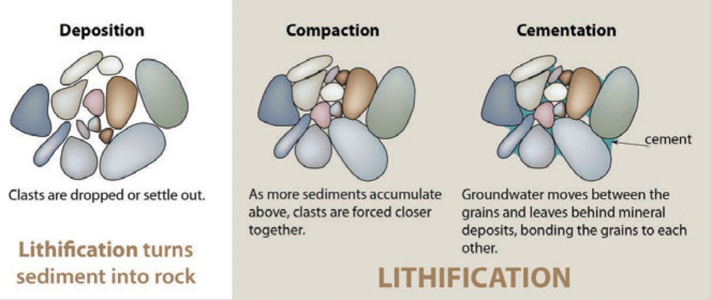<p>The process of turning sediment into rock through compaction and cementation. Process of taking sediments and making them into a rock. </p>