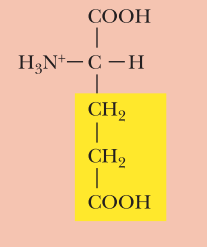 <ul><li><p>Acidic</p></li><li><p>Glu, E</p></li><li><p>α-COOH pKa: 2.2</p></li><li><p>α-NH3+ pKa: 9.7</p></li><li><p>R-Group pKa: 4.3</p></li></ul><p></p>