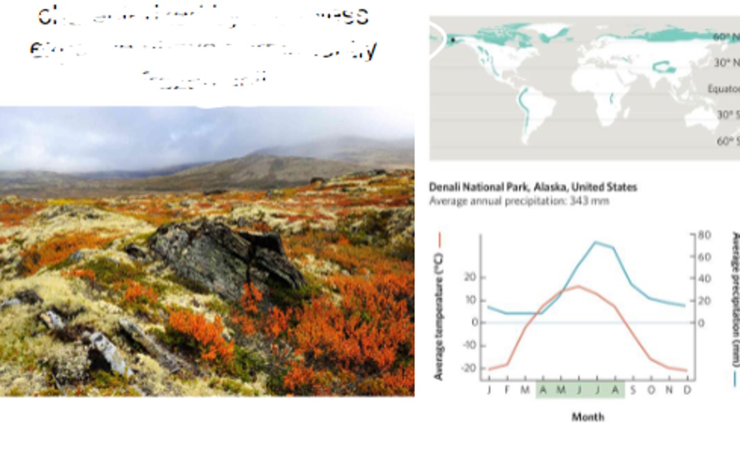 <p>the coldest biome characterized by a tree less expanse above permanently frozen soil</p>