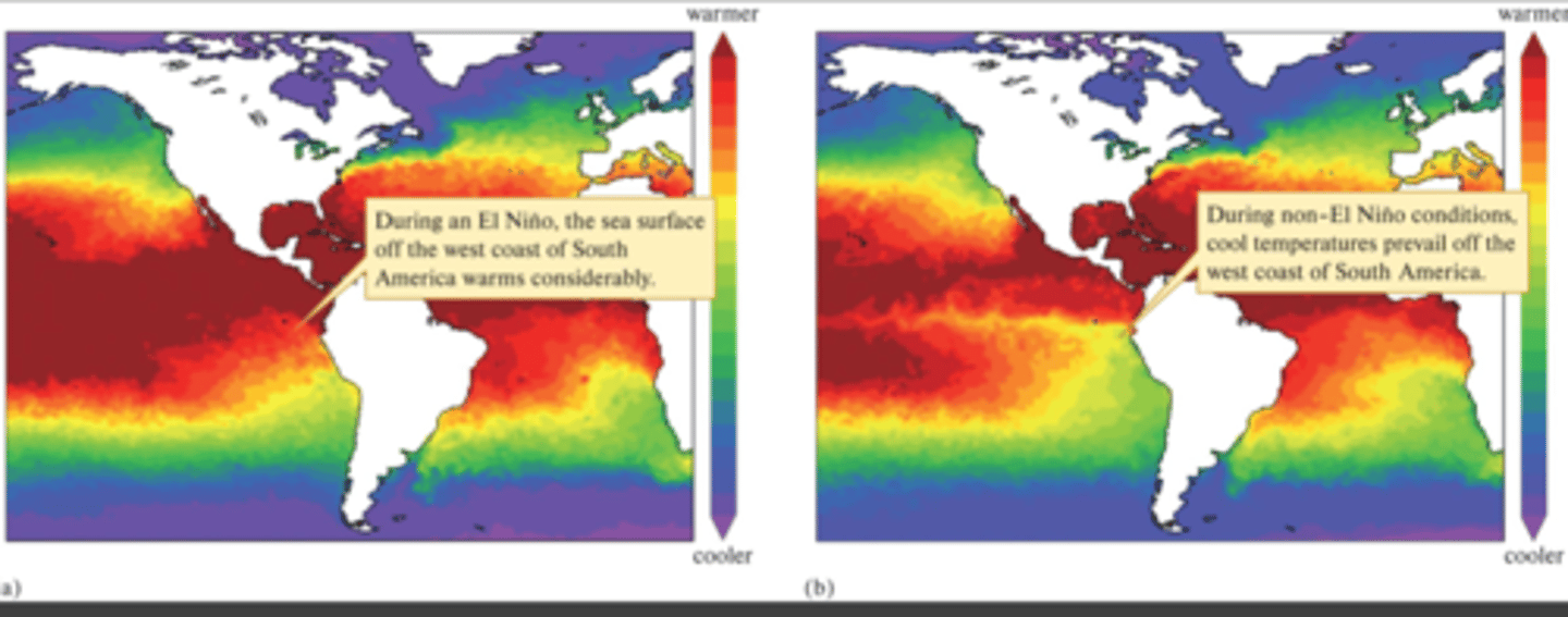<p>A climate phenomenon where the eastern equatorial pacific is abnormally warm</p>