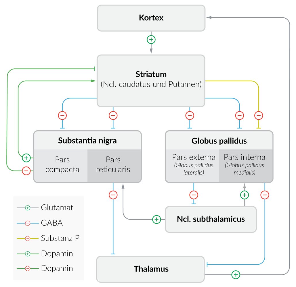 <p>B. Hypokinesia due to increased activity of the indirect pathway (NoGO)</p>