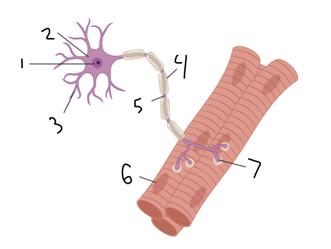 <p>Entire image?</p>