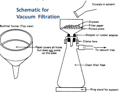 <p>In drawing of schematic include:</p><p>Buchner funnel</p><p>Adapter</p><p>Clamp on neck of vacuum flask</p><p>Ring stand</p><p>Rubber tubing</p>