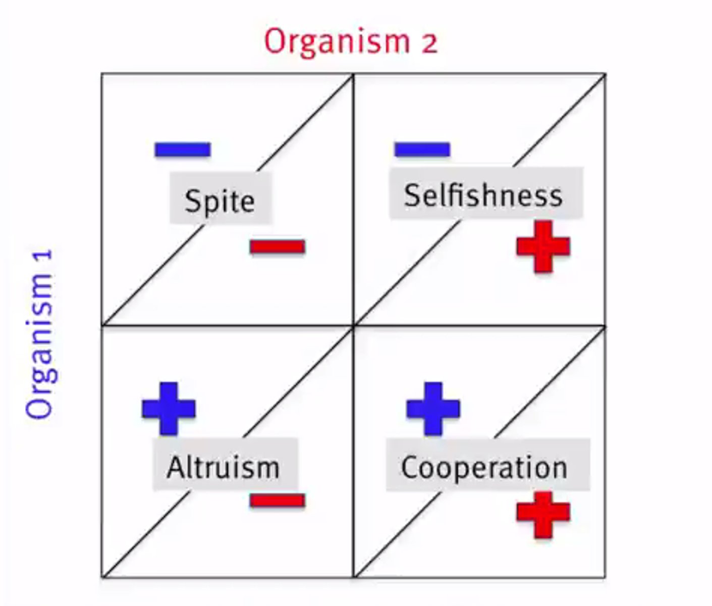 <p>The study of mathematical models of strategic interaction among rational decision-makers.</p>