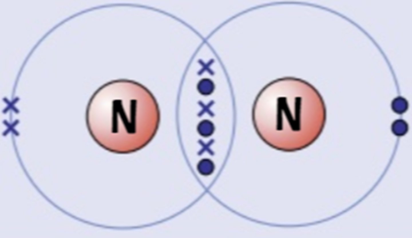<p>nitrogen</p>