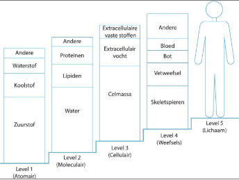 <p>5 verschillende niveaus met =/ componenten</p><ul><li><p>antropometrie: lichaam met lichaamssegmenten</p></li><li><p>weefselniveau</p></li><li><p>cellulair niveau</p></li><li><p>moleculair niveau</p></li><li><p>atomair niveau</p></li></ul><p></p>