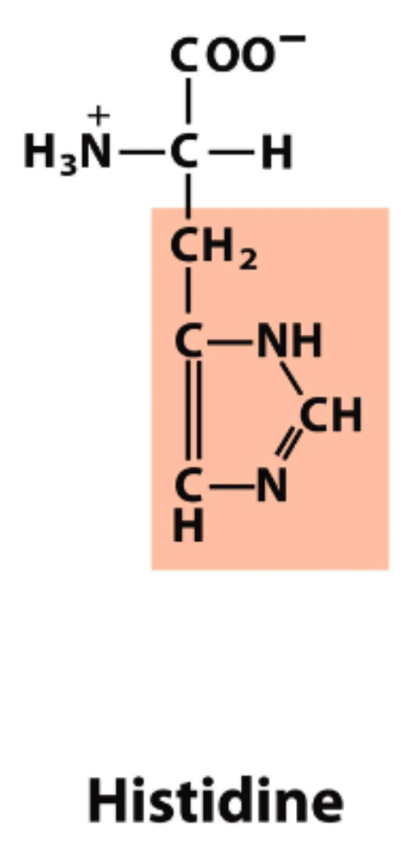 <p>pK<sub>R</sub>=6.00</p>