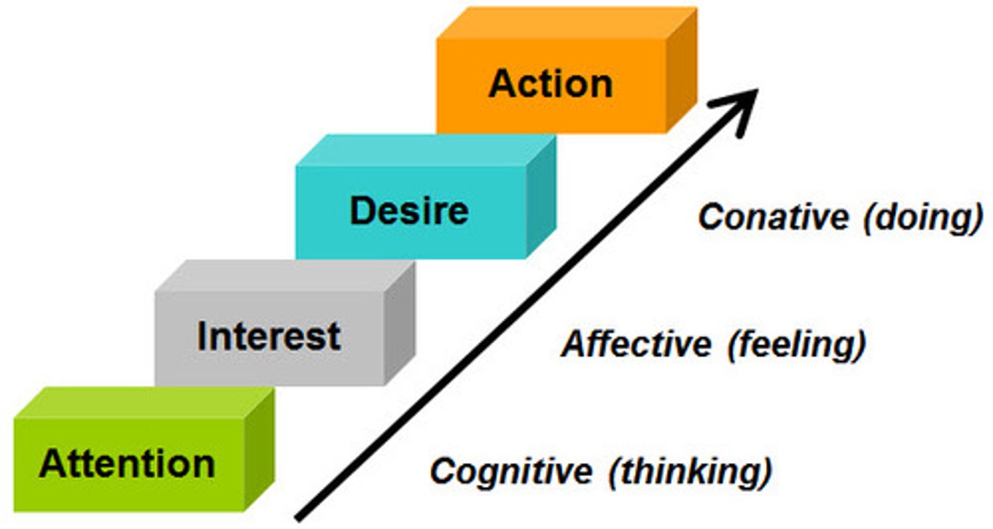 <p>a model that outlines the process for achieving promotional goals in terms of stages of consumer involvement with the message; the acronym stands for attention, interest, desire, and action</p>