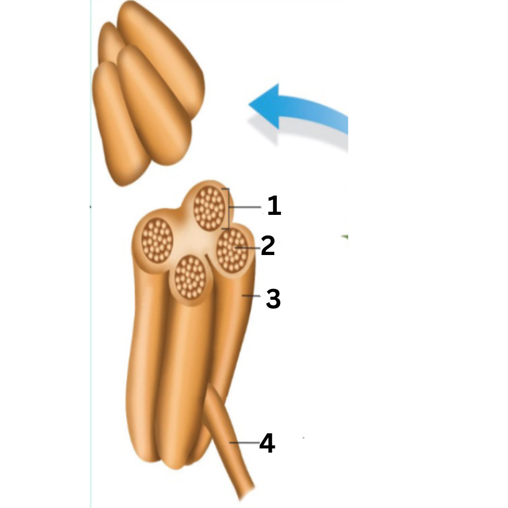<p>What part is no. 3?</p>