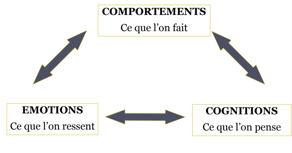 • Les troubles psychiques sont envisagés selon 3 aspects 
majeurs, en interaction permanente entre eux : 
• Emotions
• Comportements
• Cognitions (pensées)