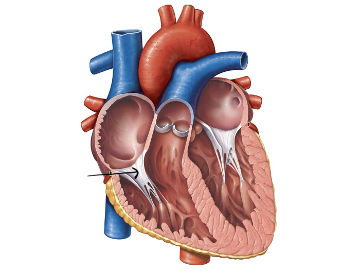 <p>Label and function</p>