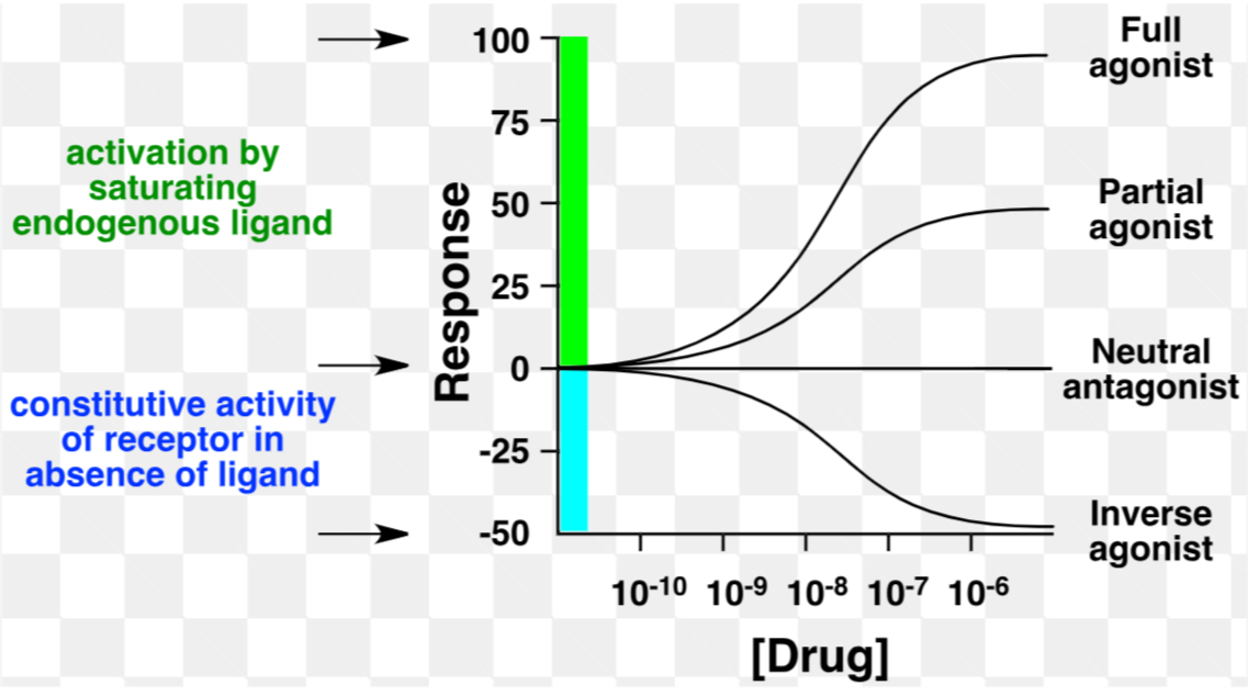 <p>Agonist: full, partial or inverse</p><p>Antagonist: competitive, noncompetitive</p>