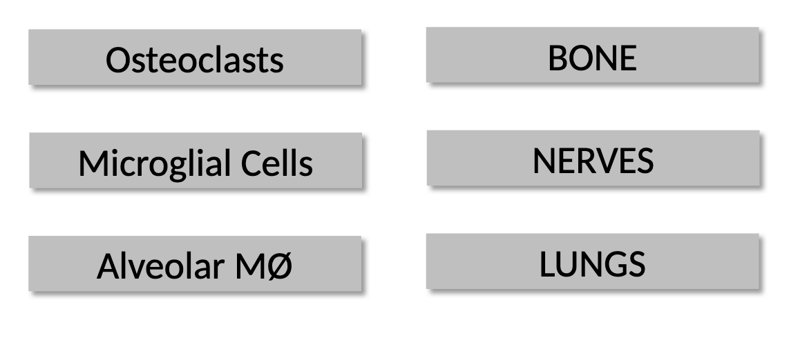 <p>yes, they are given specific names based on function and tissue location</p>