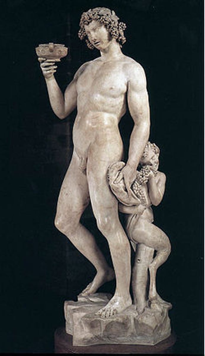 <p>Artist: Michelangelo</p><p>Location: Bargello National Museum</p><p>Medium: Marble</p><p>Patron: Cardinal Raffaele Riario</p><p>Important Info:</p><p>B=god of wine</p><p>Not typical of how M. approaches the main body</p><p>Erratic and unstable</p><p>A lil drunk</p><p>Likes to depict bodies and pose them under physical or mental distress</p><p>Satyr = half man half goat</p>