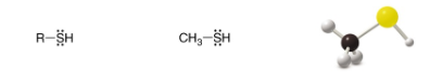 <p>SP<sup>3 </sup>Carbon</p>