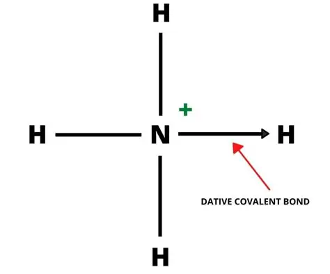 <p>Dative Covalent Bond</p>