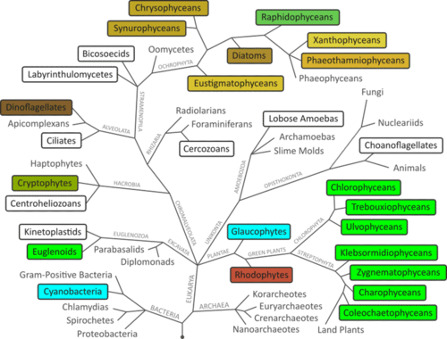 <p>Meaning:</p><p>All living organisms use DNA as the genetic material.</p><p>Implication:</p><p>The use of the genetic code across all forms of life is evidence of universal common ancestry of life. The sequences of DNA in cells can be analyzed and compared to determine evolutionary relationships between organisms. The more similar the sequence, the more closely related the organisms.</p>