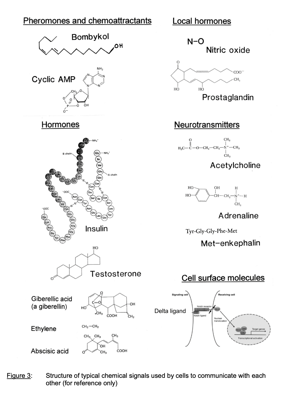 <ol><li><p>Pheromones and chemoattractants</p><ul><li><p>cyclic AMP</p></li><li><p>Bombykol</p></li></ul></li><li><p>Hormones</p><ul><li><p>insulin, testosterone, ethylele, ABA, gib</p></li></ul></li><li><p>Local hormones</p><ul><li><p>nitric oxide</p></li><li><p>prostagladin</p></li></ul></li><li><p>Neurotransmitters</p><ul><li><p>ACh, Adrenaline</p></li></ul></li><li><p>Surface molecules</p><ul><li><p>delta ligand</p></li></ul></li></ol><p></p>