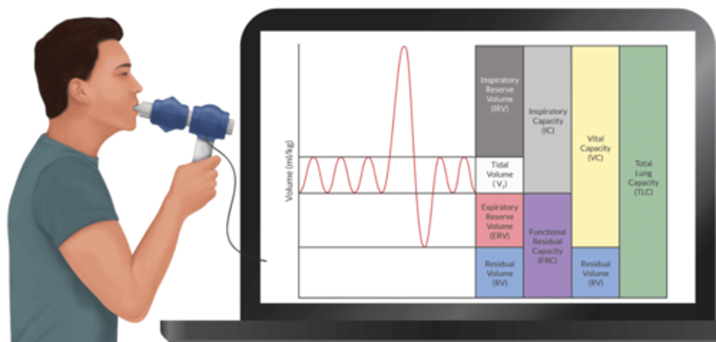 <p>V that can be forcibly inhaled after a tidal inhalation</p><p>3000 mL</p>
