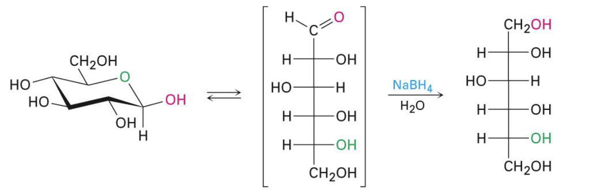 <p>reduction</p>