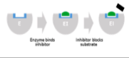<p>Competitive inhibitor mimics the substrate, competing for the active site</p>