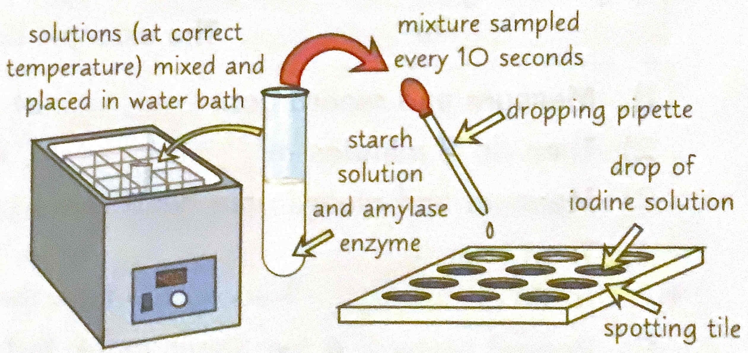 <p>How could you improve the accuracy of this experiment?</p>