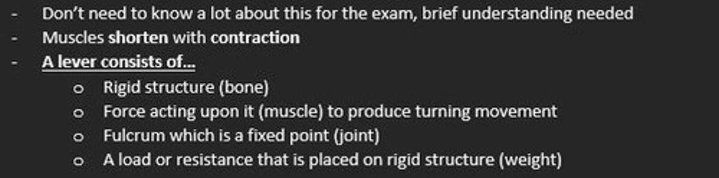<p>1) Rigid structure (bone)</p><p>2) Force acting upon it (muscle)</p><p>3) Fulcrum fixed point (joint)</p><p>4) Load/resistance placed on structure (weight)</p>