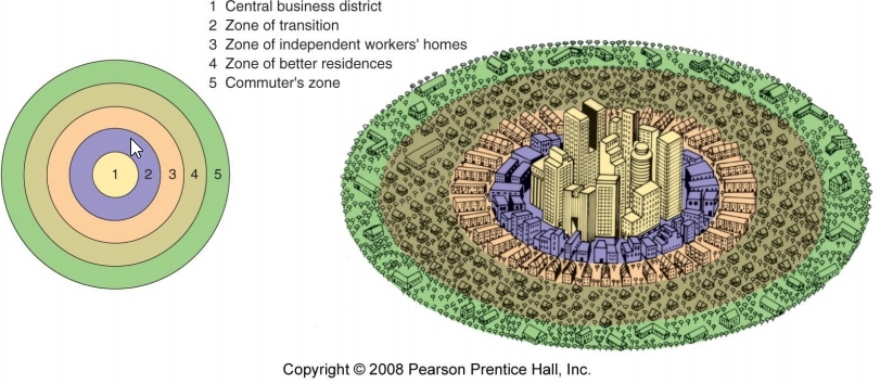 <p>A model of the internal structure of cities in which social groups are spatially arranged in a series of rings.</p>